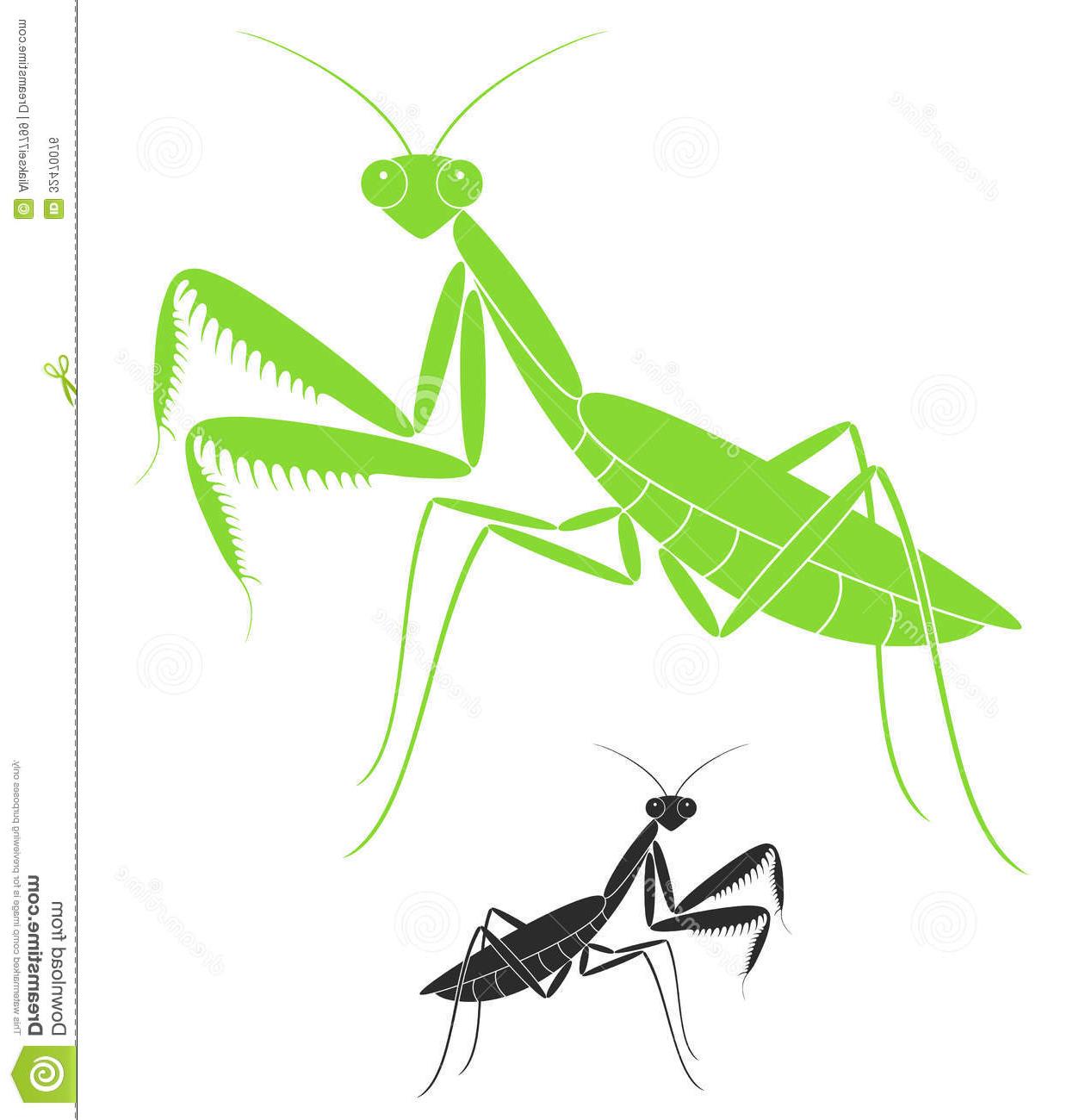 Praying Mantis Vector at Vectorified.com | Collection of Praying Mantis ...