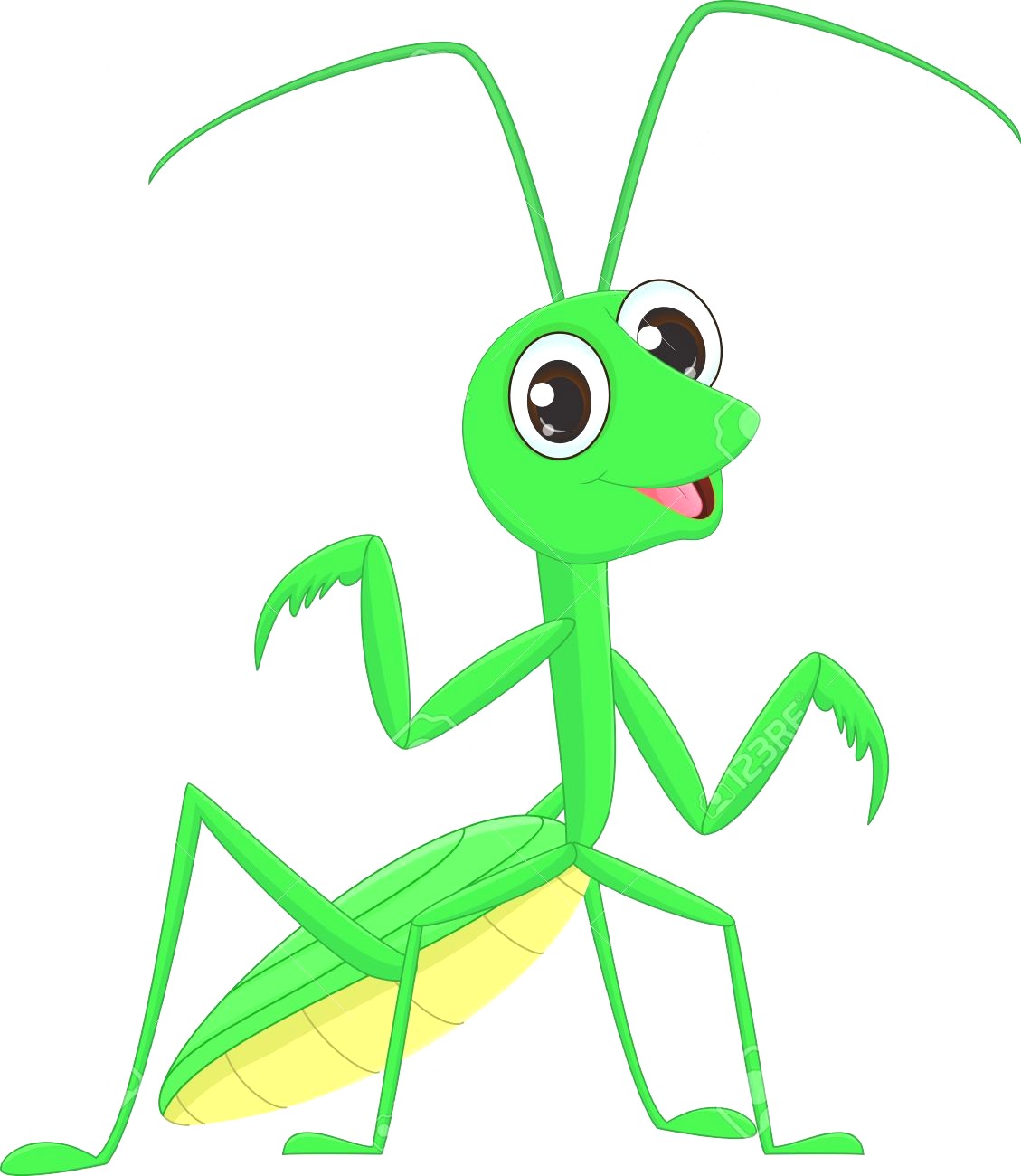 Praying Mantis Vector at Vectorified.com | Collection of Praying Mantis ...