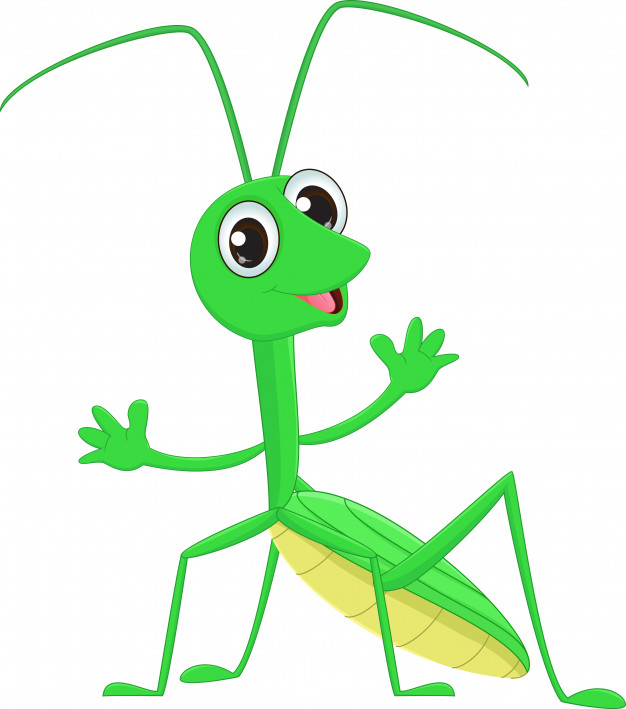 Cute Praying Mantis Grasshopper Cartoon Vector Premium Download 626x709 Cute Praying Mantis Grasshopper Cartoon Vector Premium Download