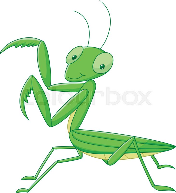 Illustration Of Praying Mantis Stock Vector Colourbox 731x800 Illustration Of Praying Mantis Stock Vector Colourbox