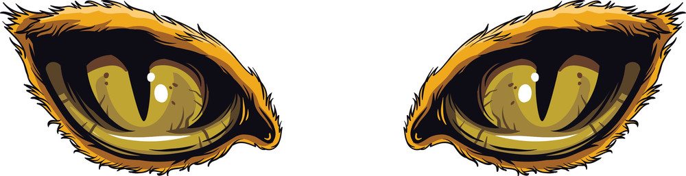 Vector Predator Eyes Royalty Free Stock Image 1000x257 Vector Predator Eyes Royalty Free Stock Image
