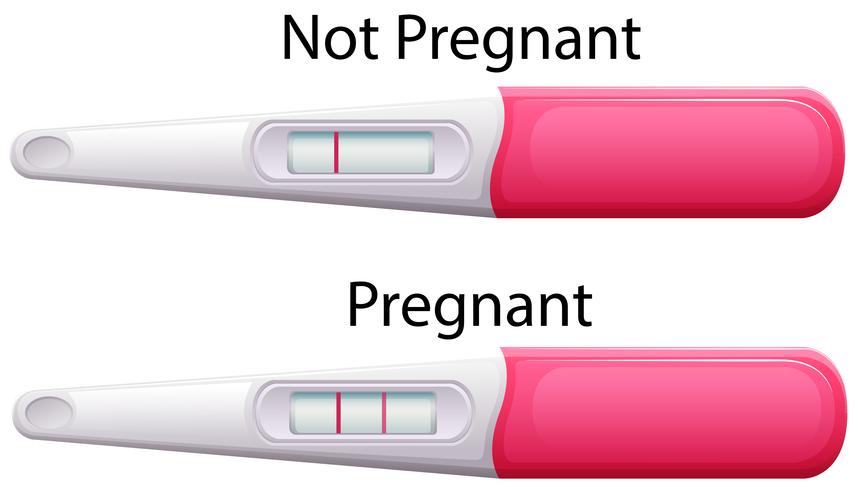 Pregnancy Test Sticks With Results 858x490 Pregnancy Test Sticks With Results