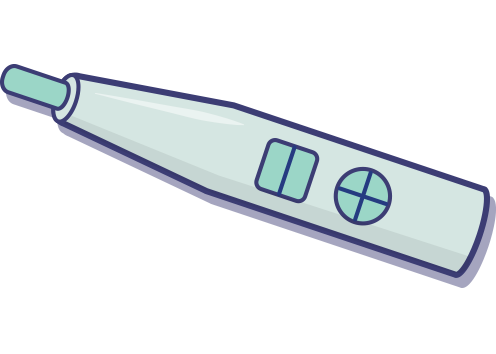 Pregnancy Unity Sexual Health 496x354 Pregnancy Unity Sexual Health