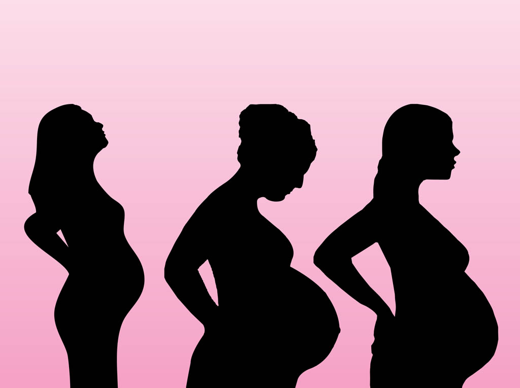 1024x765 Pregnancy Vectors Vector Art Graphics