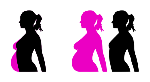 500x274 Pregnancy Silhouette Vector