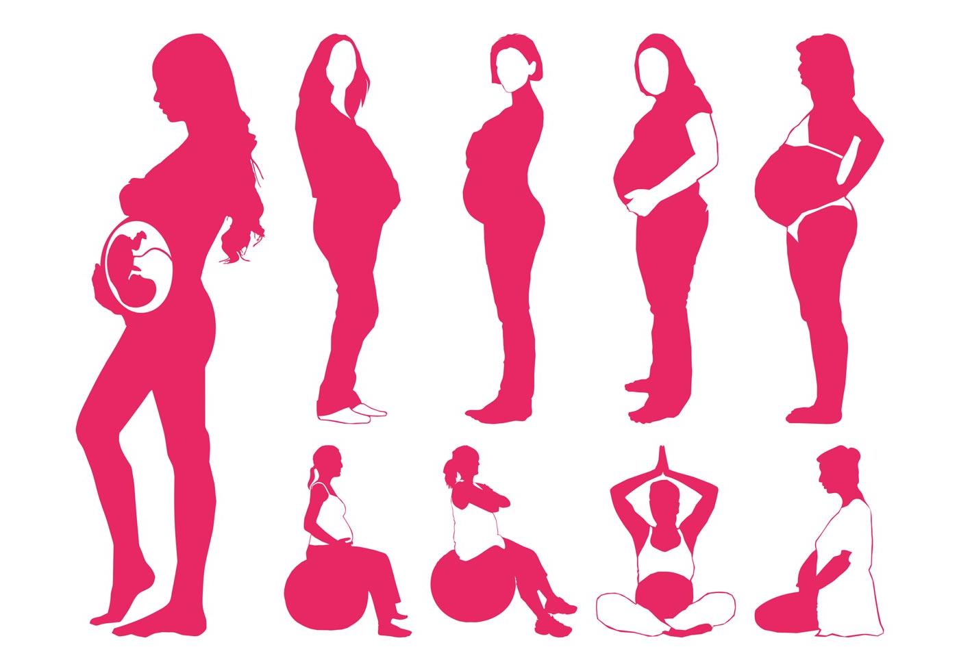 1400x980 Best Free Pregnant Vector Art Drawing Free Vector Art, Images