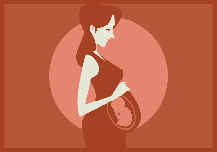 700x490 Pregnant Woman With A Baby In Her Womb Vector