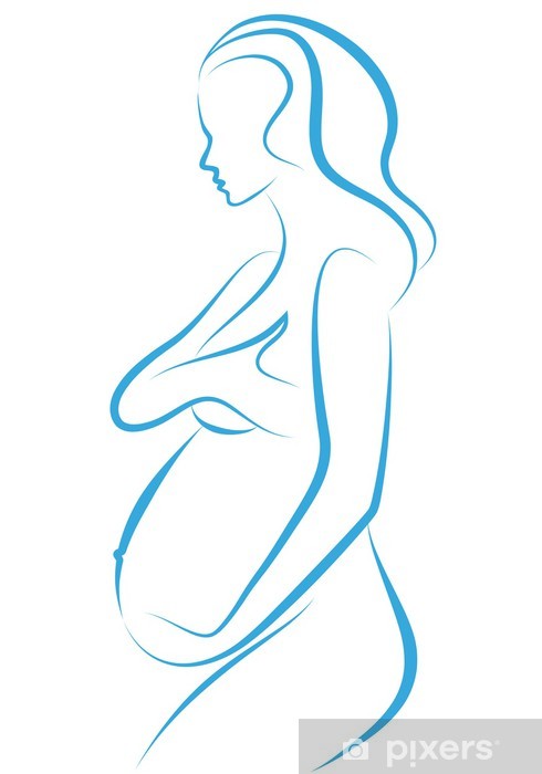 490x700 Pregnant Woman, Vector Wall Mural