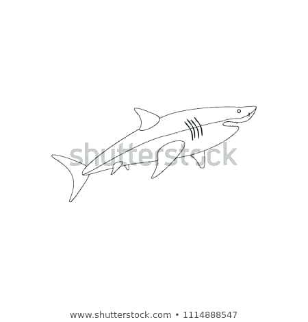 450x470 Shark Coloring Pages Shark Coloring Pages On The White Background