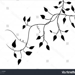 Ivy Vine Vector Design Element Pretty Newwaysys 300x300 Ivy Vine Vector Design Element Pretty Newwaysys