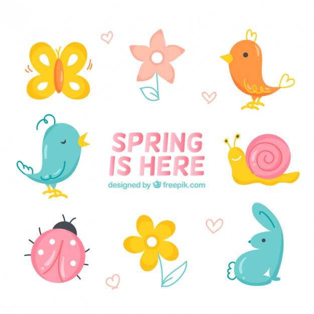 Pretty Spring Elements Vector Free Download 626x626 Pretty Spring Elements Vector Free Download