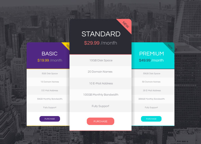 700x500 Vector Pricing Tables Design