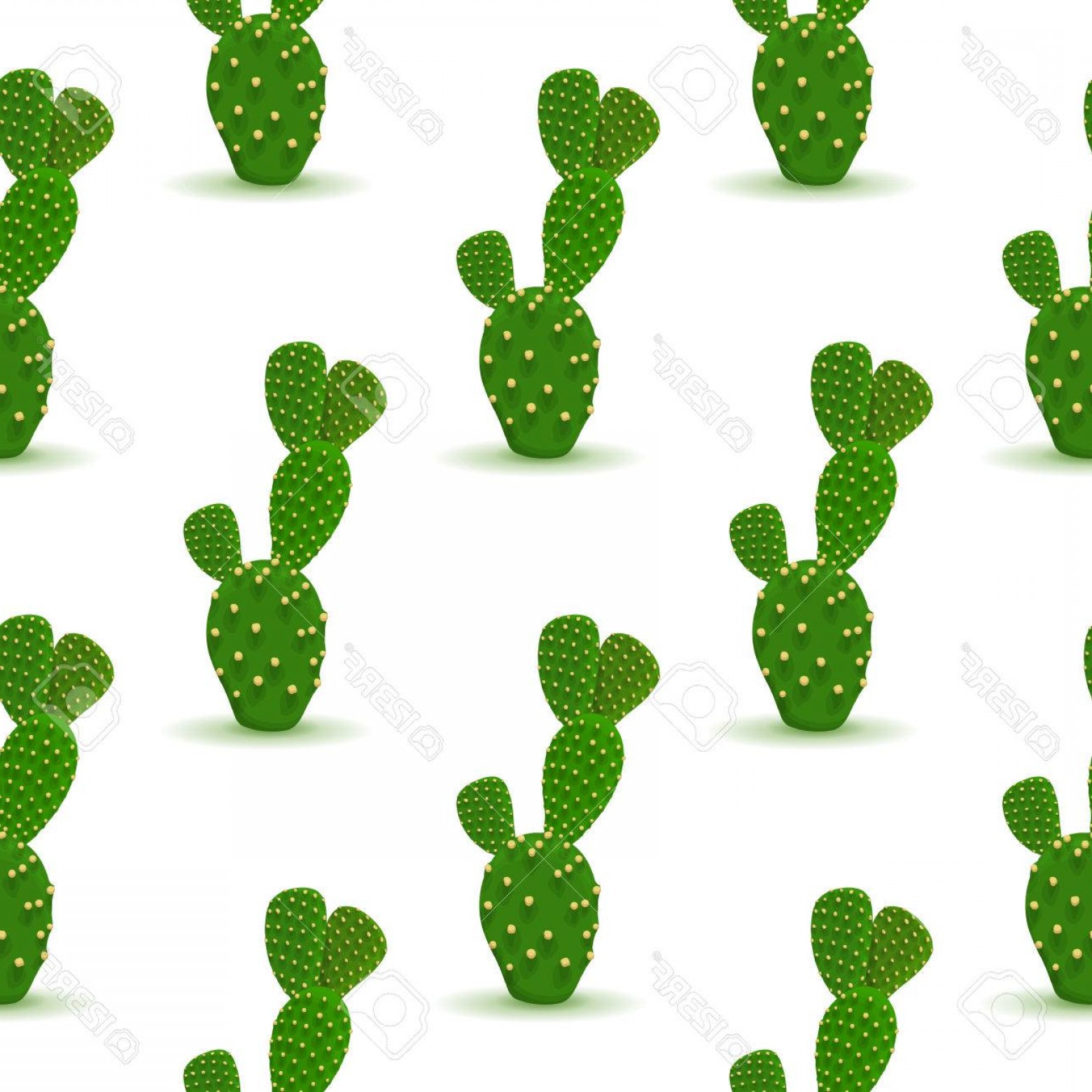 Prickly Cactus Vector Hoodamathrun 1560x1560 Prickly Cactus Vector Hoodamathrun