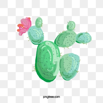 Prickly Pear Png Images Vector And Free Download 360x360 Prickly Pear Png Images Vector And Free Download