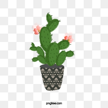 Prickly Pear Png, Vector, And Clipart With Transparent 360x360 Prickly Pear Png, Vector, And Clipart With Transparent