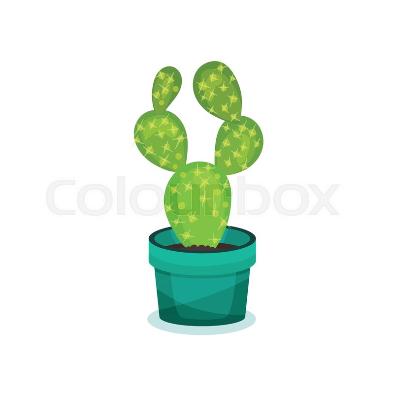 Prickly Pear Cactus In A Pot, Element Stock Vector Colourbox 800x800 Prickly Pear Cactus In A Pot, Element Stock Vector Colourbox