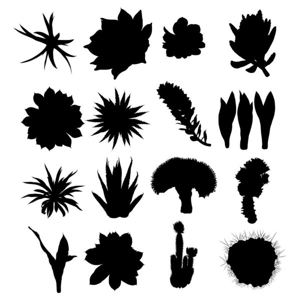 Prickly Pear Vector at Vectorified.com | Collection of Prickly Pear ...