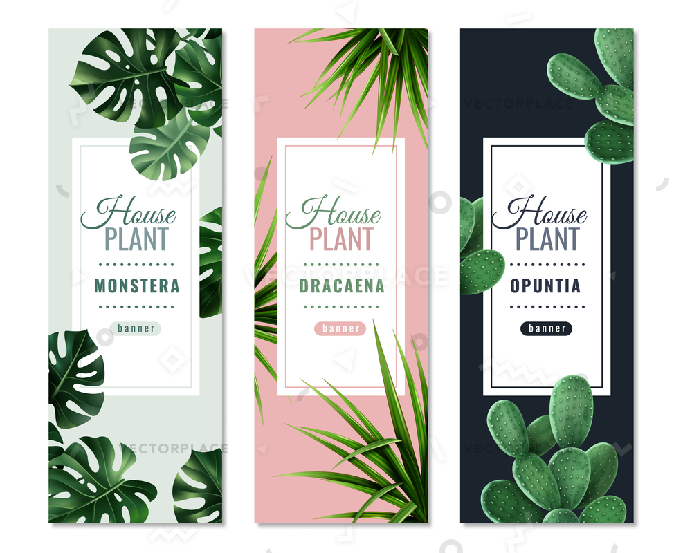 Realistic House Plants Vertical Banners Monstera Vector 1000x800 Realistic House Plants Vertical Banners Monstera Vector