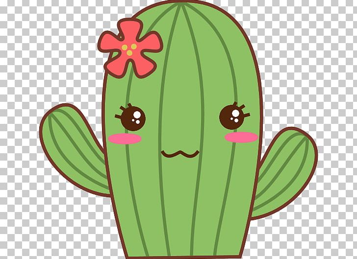 Rhipsalis Baccifera Cactaceae T Shirt Cactus Y Suculentas Prickly 728x529 Rhipsalis Baccifera Cactaceae T Shirt Cactus Y Suculentas Prickly