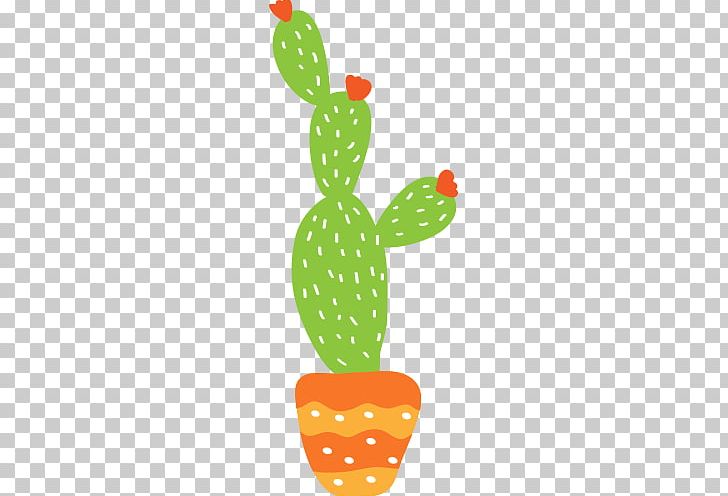 Cactaceae Drawing Prickly Pear Illustration Png, Clipart, Cactus 728x496 Cactaceae Drawing Prickly Pear Illustration Png, Clipart, Cactus