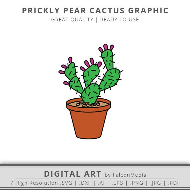 794x794 Cactus Prickly Pear Cactus Cactus Potted Cactus Etsy