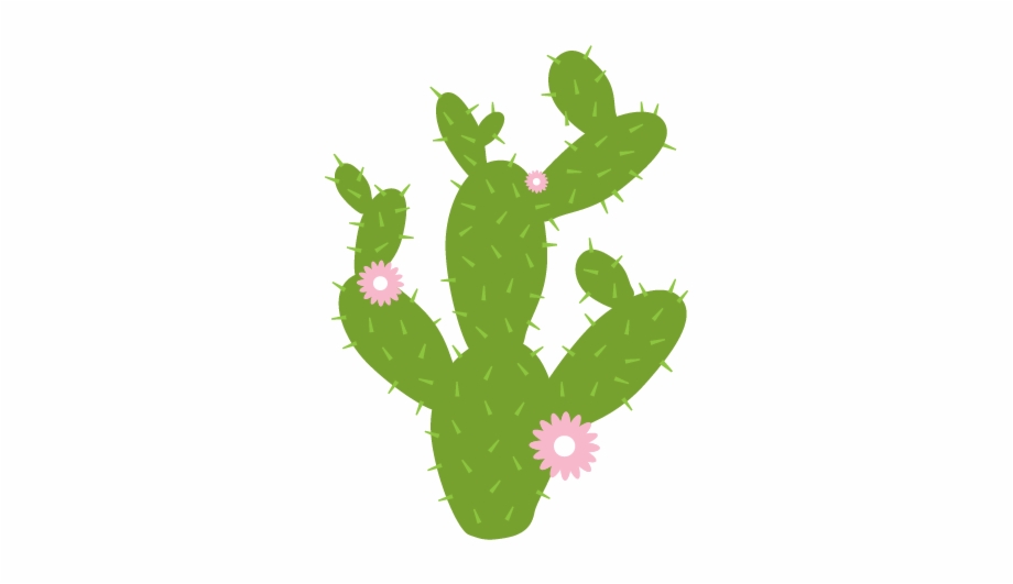 Clipart Download Prickly Pear Cactus Clipart 920x531 Clipart Download Prickly Pear Cactus Clipart