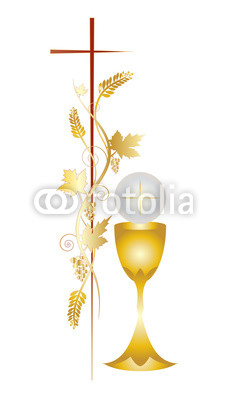 226x400 Primer Vector De La Del Del Color