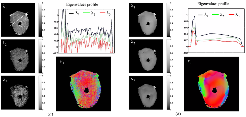 850x406 Reconstruction Of Tensor Components, Eigenvalues, And The First