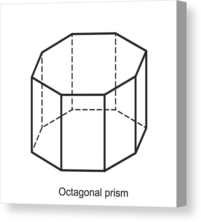 678x750 Octagonal Prism Vector Canvas Print Canvas Art