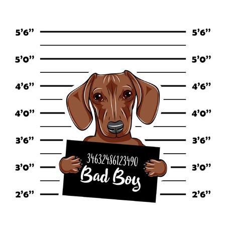 450x450 Dachshund Dog Criminal Police Mugshot Dog Convict Dog Prison