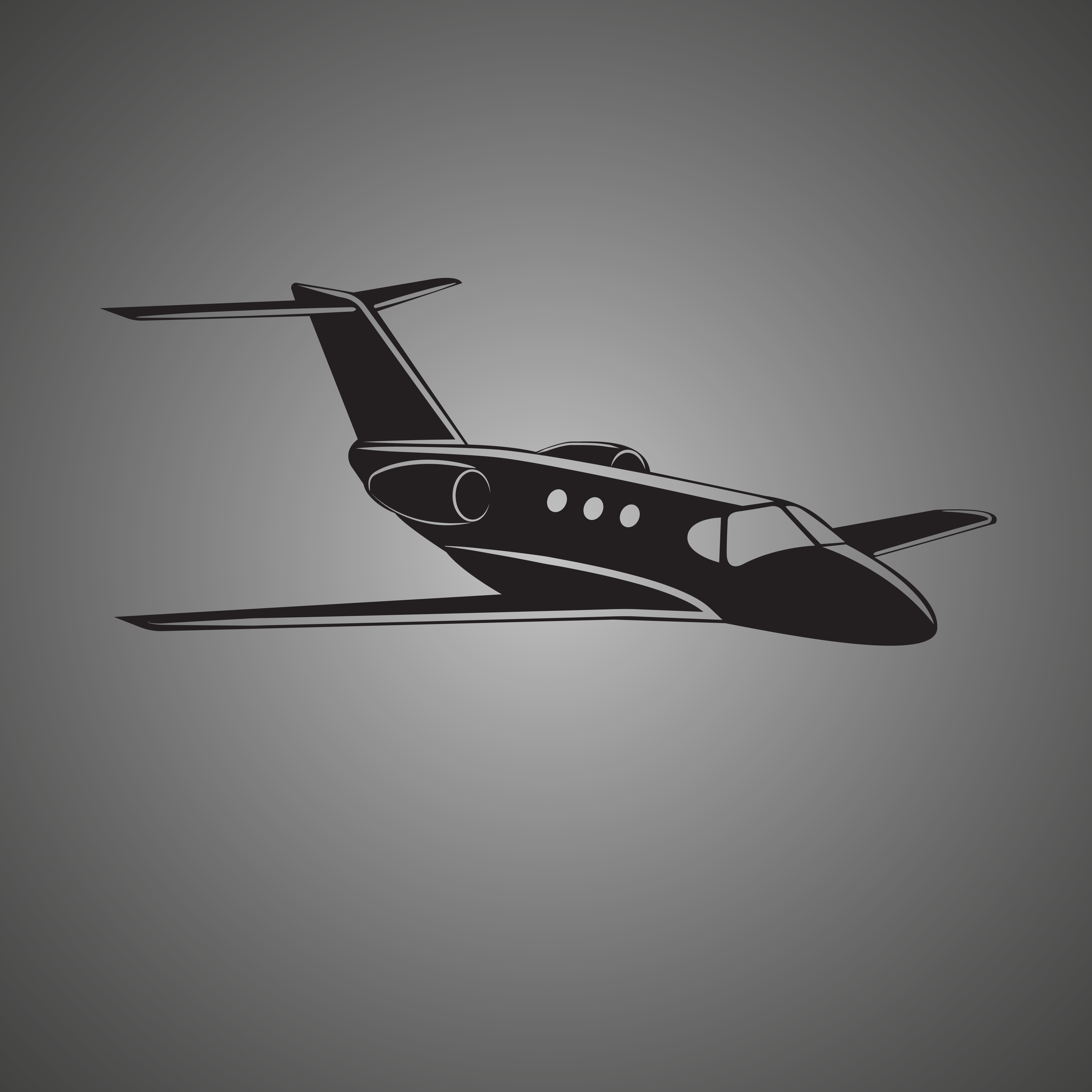 5000x5000 Private Jet Vector Icon Business Jet Illustration Flightstock