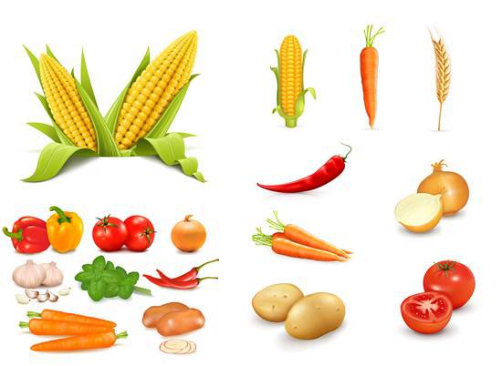 550x402 Produce Vegetable Vector Vector Biology Free Vector Download