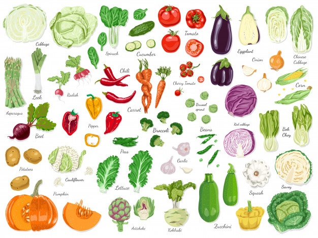 626x469 Vegetables Vectors, Photos And Free Download