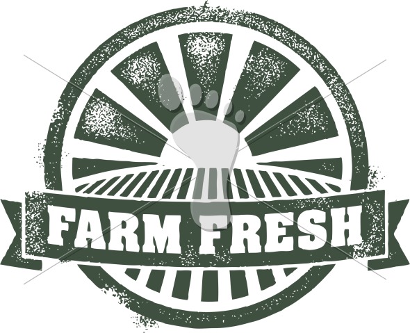 590x479 Farm Fresh Produce Vector Clip Art Stompstock
