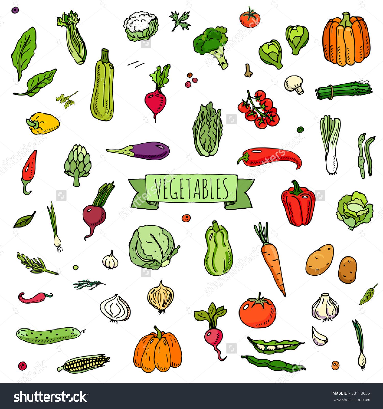 1500x1600 Hand Drawn Doodle Vegetables Icons Set Vector Illustration