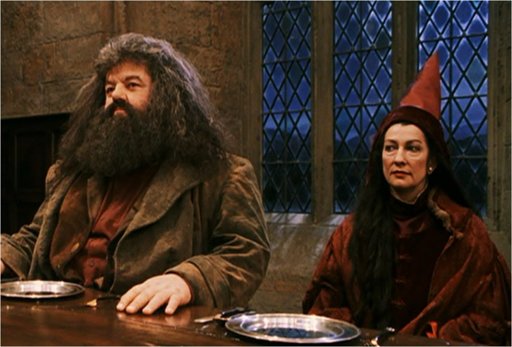 512x347 Professor Vector Harry Potter Amino