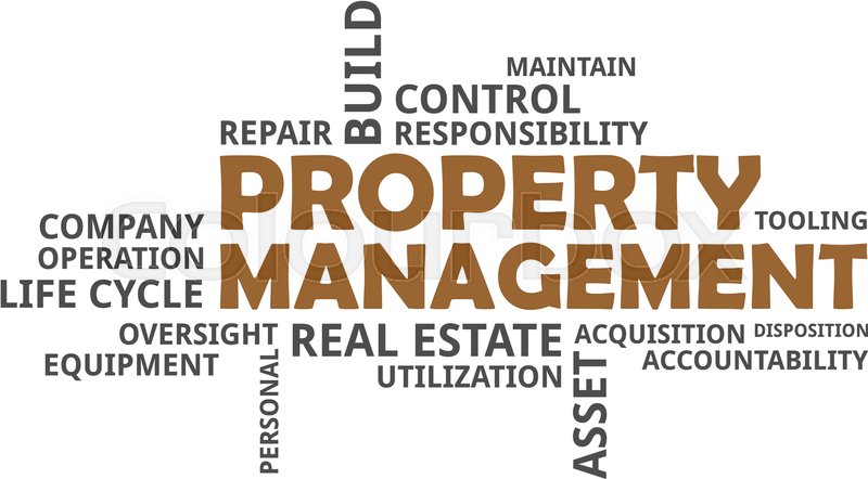 800x442 A Word Cloud Of Property Management Stock Vector Colourbox