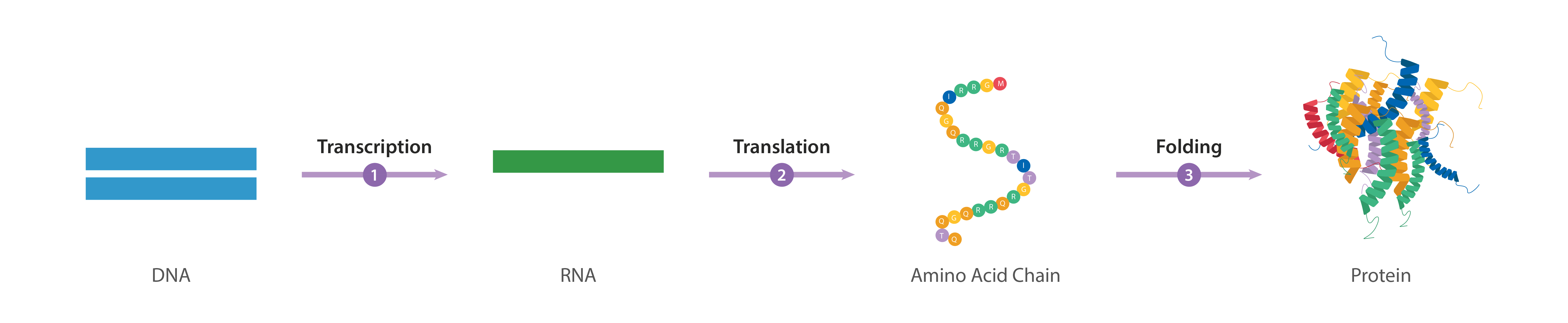 5825x1200 Vector Expression Abm Inc