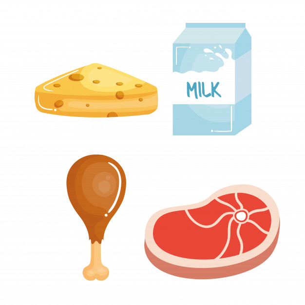 626x626 Food High In Protein Vector Premium Download