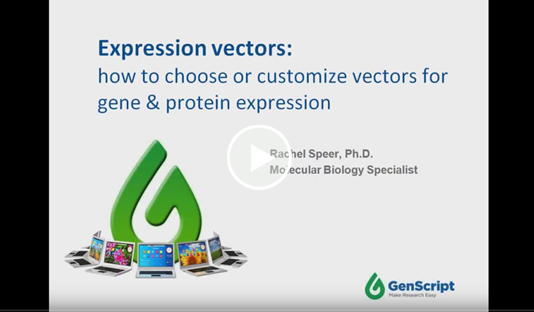 534x312 Gene And Protein Expression Vectors Genscript