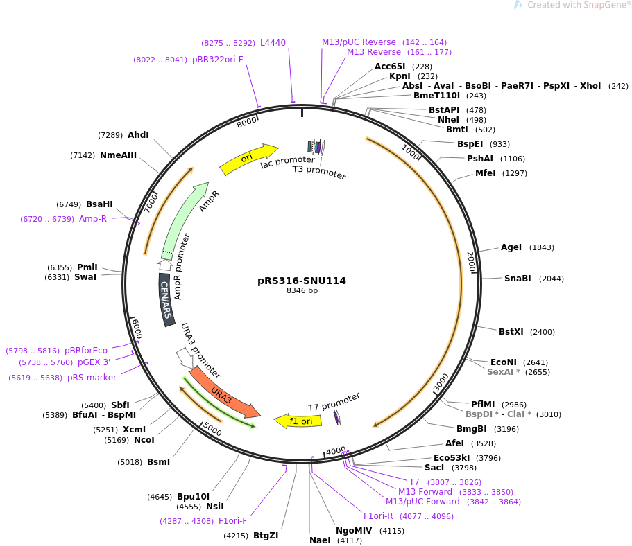 Addgene 911x788 Addgene