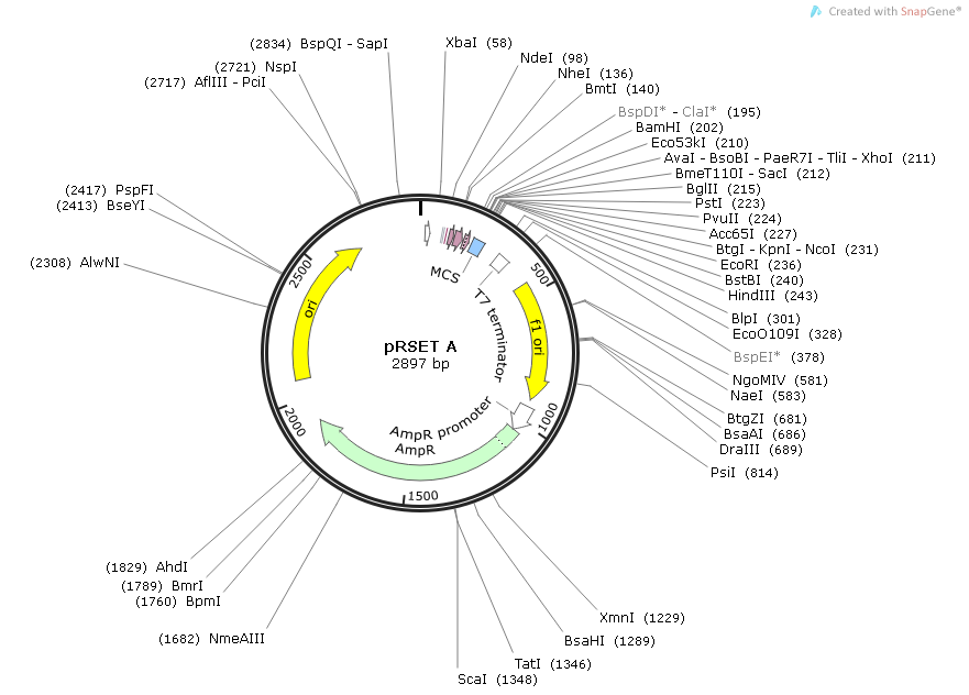 Prset Vector at Vectorified.com | Collection of Prset Vector free for ...