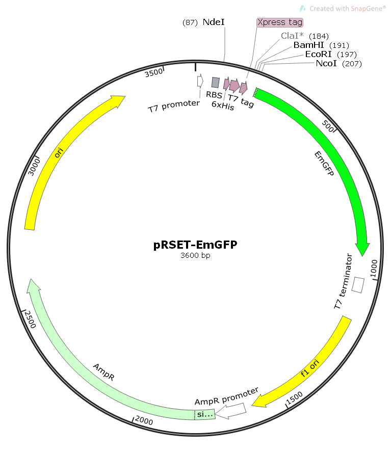 Prset Emgfp Plasmid,prset Emgfp,prset Emgfp Plasmid,prset Emgfp 767x887 Prset Emgfp Plasmid,prset Emgfp,prset Emgfp Plasmid,prset Emgfp