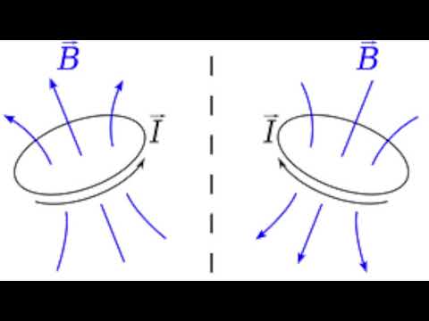 480x360 Pseudovector