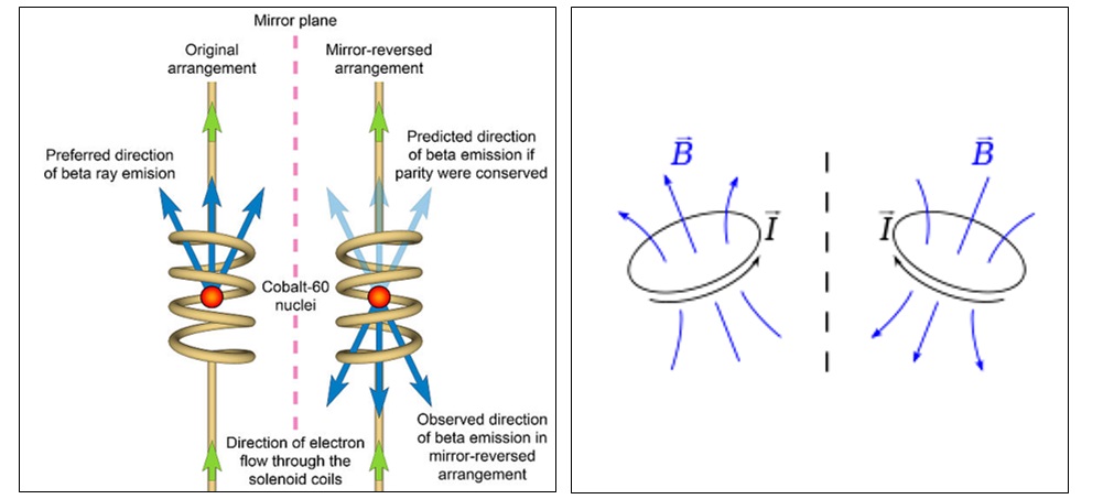 1001x453 A Partial History Of The Weak Interaction The Physics Detective