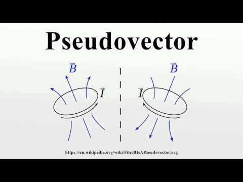 480x360 Pseudovector