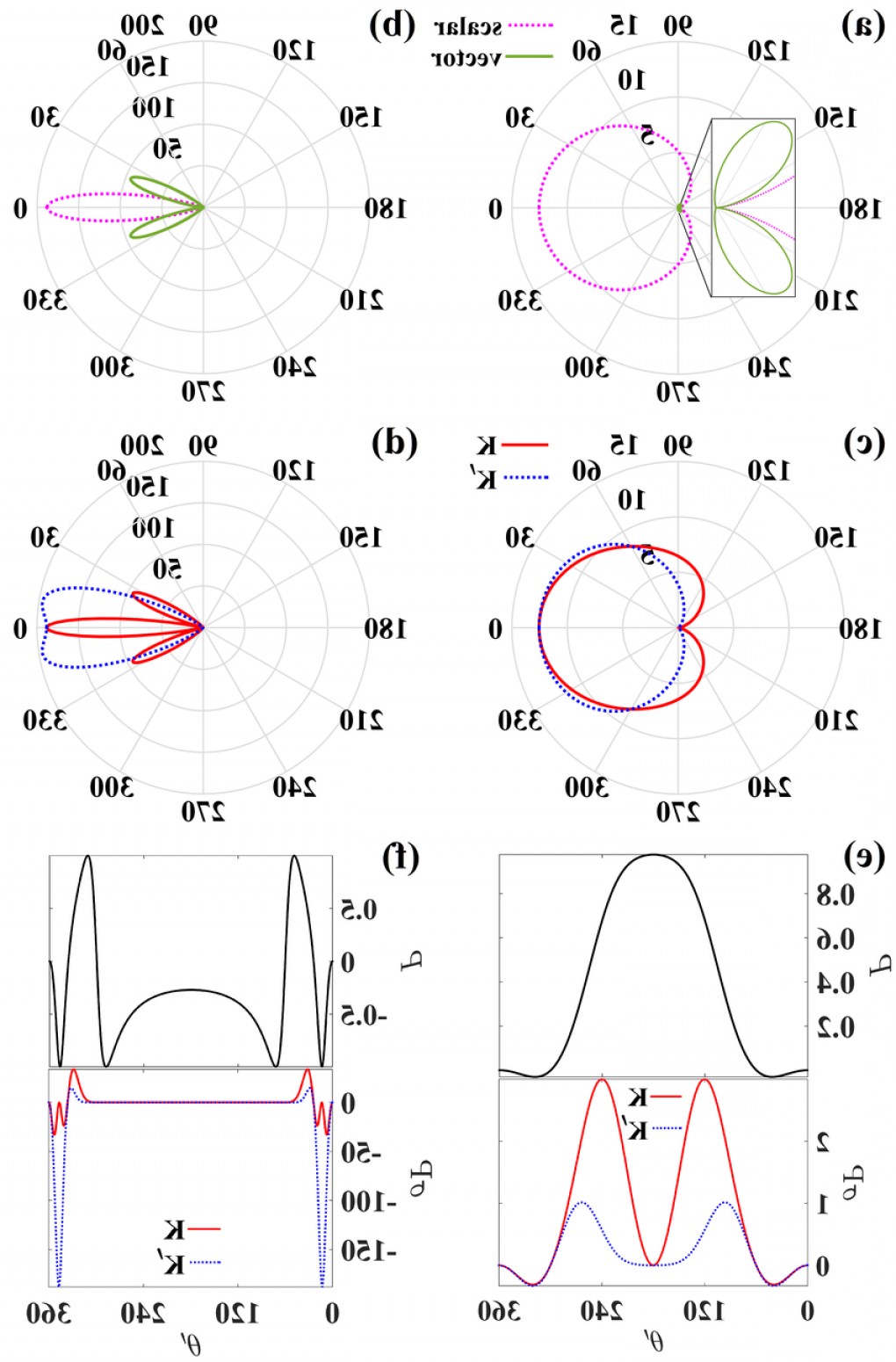 1020x1550 Pseudovector Soidergi