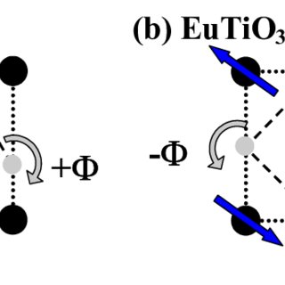 320x320 The Structural Antiferrodistortive Order Parameter Is