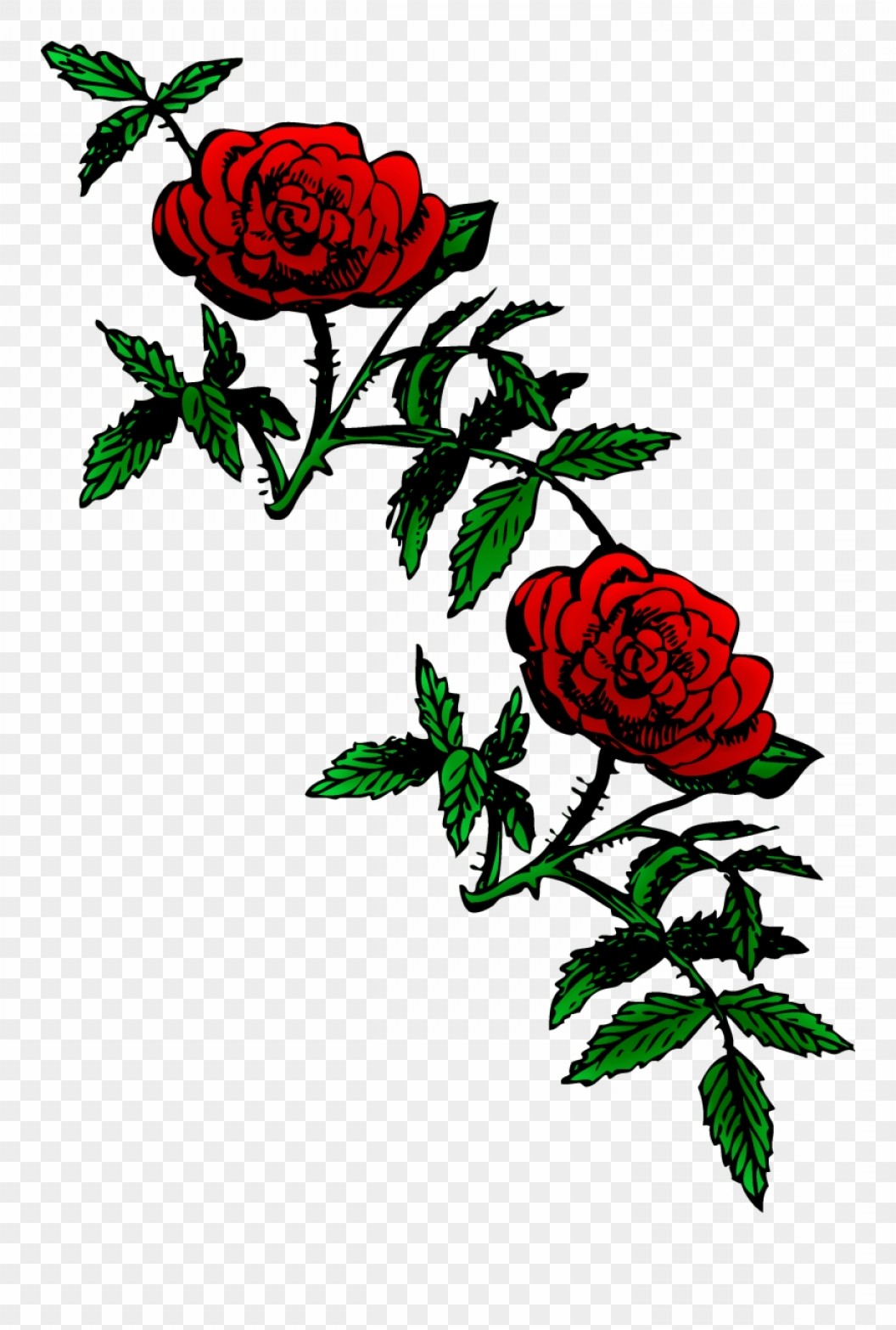 Tjwwiroses 1056x1566 Tjwwiroses