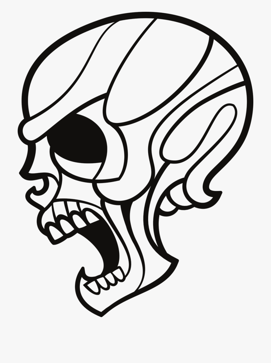 Bones Human Skull Scary Free Picture 920x1234 Bones Human Skull Scary Free Picture